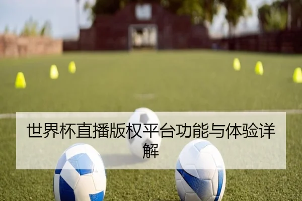 世界杯直播版权平台功能与体验详解