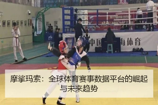 摩挲玛索：全球体育赛事数据平台的崛起与未来趋势